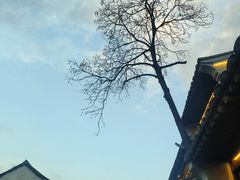 -仓桥直街