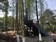 -成飞公园