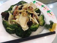 西兰花珊瑚蚌柳-渔民新村(番禺总店)