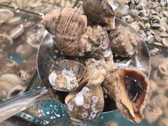 -半岛听涛蒸汽海鲜自助(K11店)