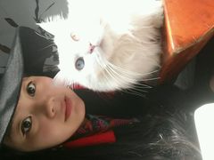 android_upload_pic-Anne猫窝咖啡屋