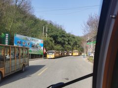 -栾川竹海野生动物园