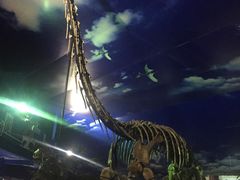 -诸城市恐龙博物馆