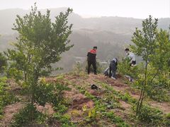 -五凤溪古镇