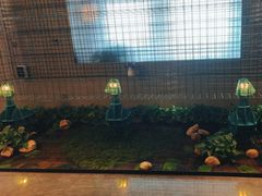 -映像威海·威海宴(威高广场店)