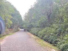 -上海海湾国家森林公园