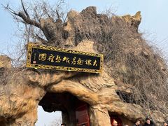 -大槐树寻根祭祖园