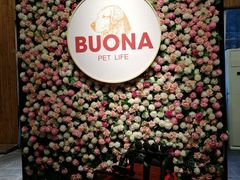 -百好乐宠物友好餐厅(朝外大街店)