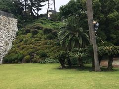 -柱状节理带