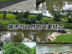 -香山湖公园