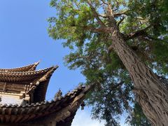 -张掖大佛寺景区