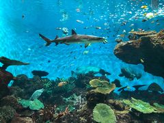 -鹿儿岛水族馆