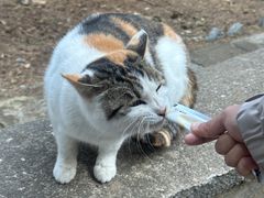 -四门塔风景区