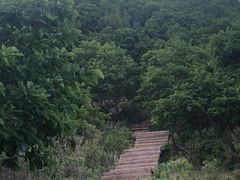 -白草畔自然风景区