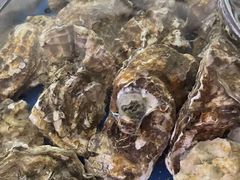 -大连湾旭日·家宴·海肠捞饭(马栏广场店)