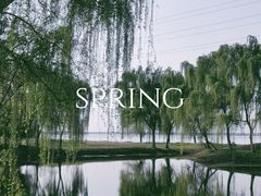 -漕湖湿地公园