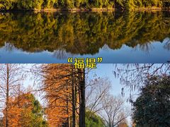 -西溪国家湿地公园