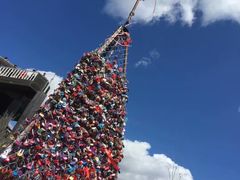 -帽儿山国家森林公园