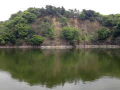 -王借岗森林公园