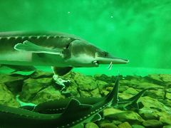 -太平洋海底世界