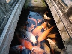 -绿华园休闲山庄