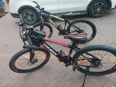 -道路口单车爱瓦士dahon大行