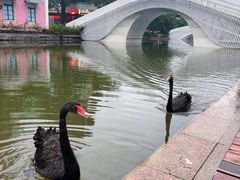 -大梅沙海滨公园