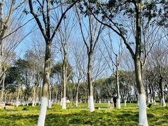 -院士公园