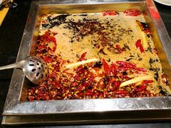 -红鼎坊·老成都火锅(新南门店)