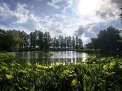 -金银湖国家城市湿地公园