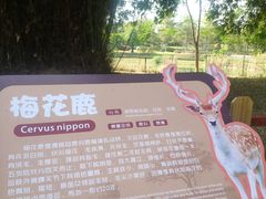 -王借岗森林公园