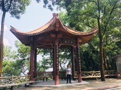 -大屏嶂森林公园