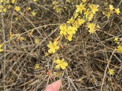 -武清南湖绿博园