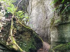 -山王坪喀斯特国家生态公园