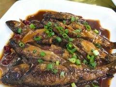 -品雅轩农家乐