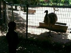 -祥源·阜阳生态乐园