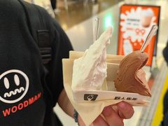 -野人先生现做冰淇淋(北京王府井东方新天地店)