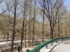 -白水寺森林公园
