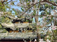 -龙华寺
