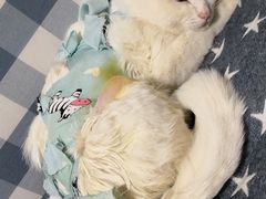 -惠康宠物医院(华能路店)