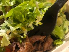 -油梨树AVOCADO TREE(嘉里中心店)