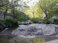 -王顺山国家森林公园