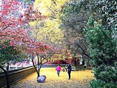 -大慈岩风景区