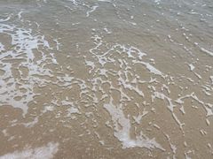 -西涌国际滨海旅游区