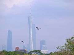 -海珠湖公园