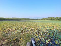 -颐和园
