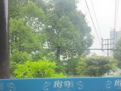 -树厨贵州菜(铜仁花果山店)