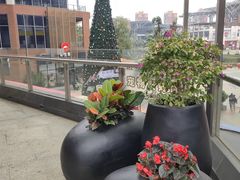 -观澜湖新城运动奥莱区