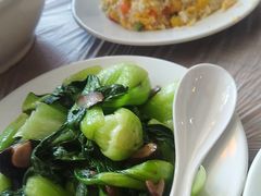 -绿野餐厅(上海动物园店)