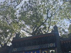 -北京国子监胡同